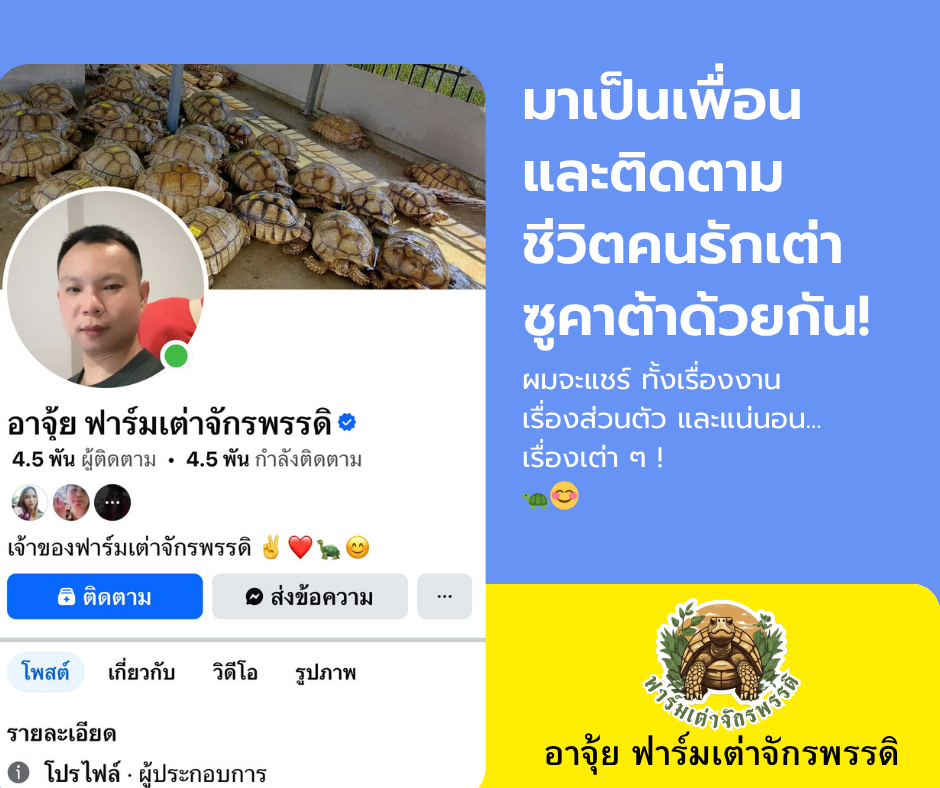 Facebook_อาจุ้ย ฟาร์มเต่าจักรพรรดิ